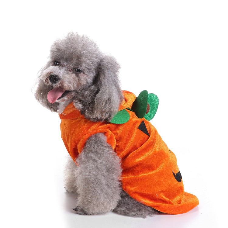 Funny Rider Pet Costume – view 10