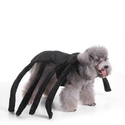 Funny Rider Pet Costume